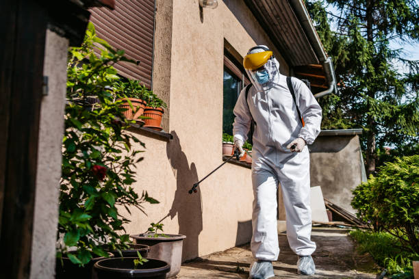 Best Ant Control Services  in Kingston, NJ
