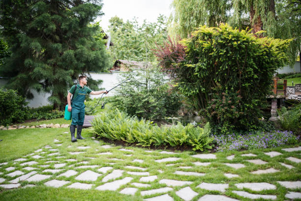 Best Exterminator Services  in Kingston, NJ