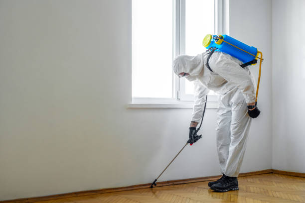 Best Bed Bug Extermination  in Kingston, NJ