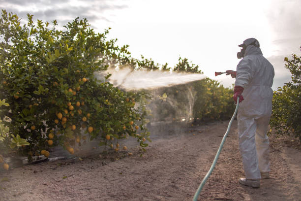 Best Best Pest Control Near Me  in Kingston, NJ