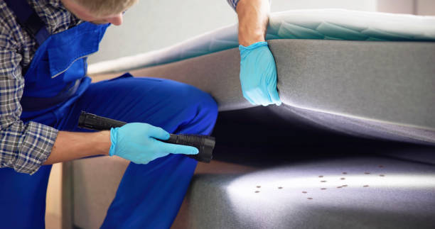 Flea Control Services in Kingston, NJ