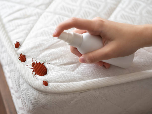 Best Commercial Pest Control Services  in Kingston, NJ