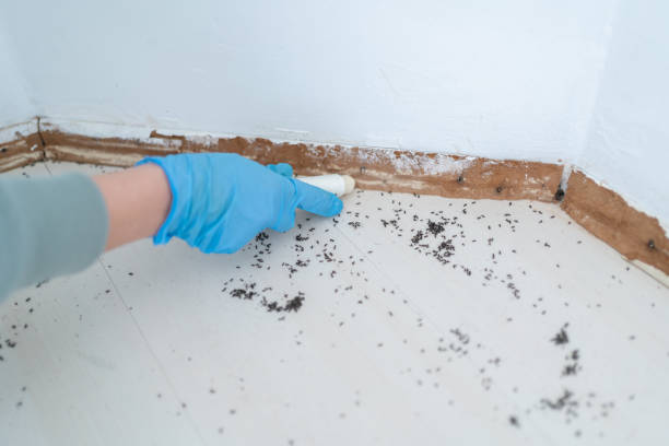 Best Pest Control Treatment  in Kingston, NJ