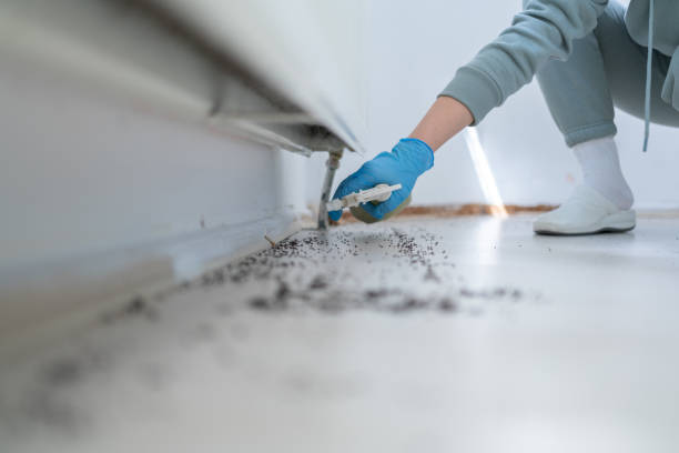 Best Insect Control  in Kingston, NJ